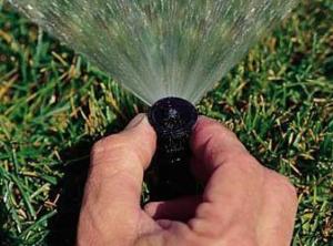 a Burlington sprinkler repair pro is making final adjustements to a pop up head